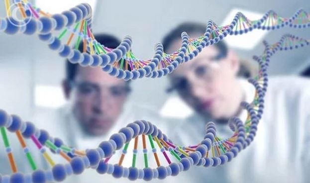 Учёные из США нашли 13 человек с генетическими мутациями