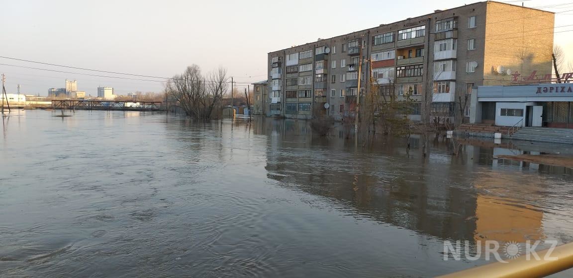 Обои в кокшетау цены и фото